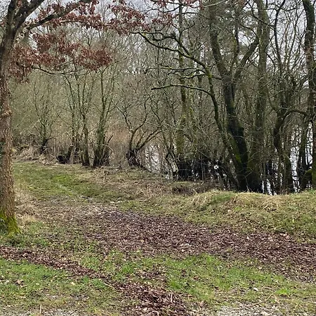 Cosy * Broadford (Clare)