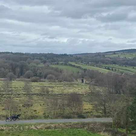 Ferienhaus Cosy Broadford (Clare)