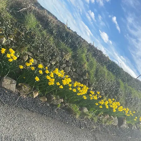 Ferienhaus Cosy Broadford (Clare)