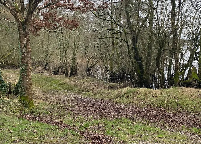 Cosy * Broadford (Clare)