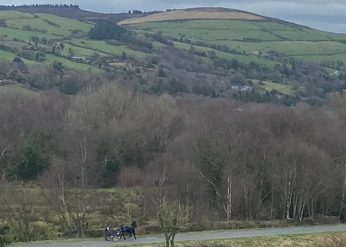 Cosy Ferienhaus Broadford (Clare)