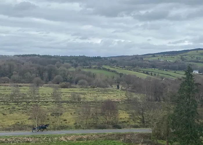 Ferienhaus Cosy Broadford (Clare)