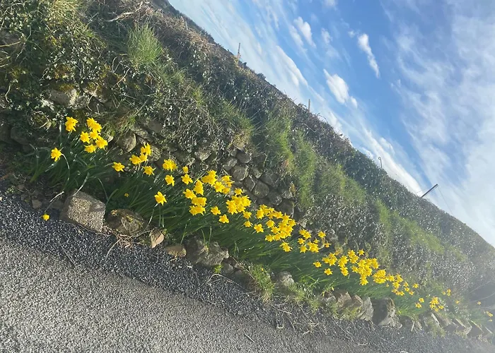 Ferienhaus Cosy Broadford (Clare)